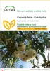 SAFLAX - Červená řeka - Eukalyptus - Eucalyptus Náhled obrázku produktu 1