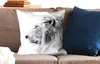 MuchoWow® Zierkissen Sofakissen Wohnzimmer Dekokissen 50x50 Produktbild-Vorschau 2
