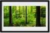 Bild 60x40 MDF-Rahmen Wandkunst Grüner Wald Bäume Natur Produktbild-Vorschau 1