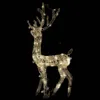 A lighted reindeer decoration against a black background. Podgląd zdjęcia produktu
