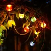 LED Deko-Party-Lichterkette 10 Lampen bunt 8m 24V 6W mit Produktbild-Vorschau 2