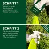 Legona XenTari Buchsbaumzünsler Spritzmittel, 10 x 2 g, bis Produktbild-Vorschau 5