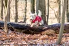 TRIXIE Regenmantel Vimy für Hunde - rot - 540L x 5H x 200B Produktbild-Vorschau 5