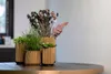 Three decorative planters with plants and dried flowers on a table. Anteprima dell’immagine prodotto
