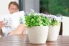 KADAX Blumentopf mit Untersetzer "Tubas", Blumenkübel, Produktbild-Vorschau 17
