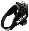 Julius K9 Idc Power Harness / Postroj pro značky Black Náhled obrázku produktu 3