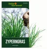 Zyperngras Katzengras Samen - Cyperus zumula - Produktbild-Vorschau 1