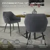 ML-Design sada 6 jídelních židlí s područkami a opěradly, Náhled obrázku produktu 2