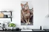 MuchoWow® Poster Katze - Kätzchen - Fell 60x120 cm - Produktbild-Vorschau 3