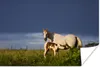 MuchoWow® Poster Pferde - Gras - Fohlen 90x60 cm - Produktbild-Vorschau 1