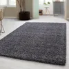 A shaggy rug is placed on a light-colored floor in a room with furniture and plants. Anteprima dell’immagine prodotto