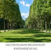 HEGA Grasland Rasensamen Grassamen Berliner Tiergarten Produktbild-Vorschau 3