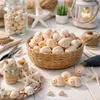 Schnecke Mattukan 1 kg, 2–5 cm, ca. 150 Stück, Natica Produktbild-Vorschau 6