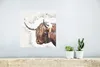MuchoWow® Poster Schottisches Hochlandrind - Produktbild-Vorschau 5