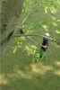A person is using a telescopic saw to cut a branch from a tree. Náhled obrázku produktu