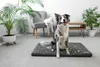 A dog is sitting on a dog bed in a living room setting with plants and furniture. Náhľad obrázku produktu