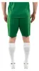 Jako pantaloni sportivi Manchester 2.0 - verde scuro, Anteprima dell’immagine prodotto 2