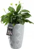 A green plant with white flowers in a textured gray pot. Podgląd zdjęcia produktu