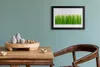 Bild 30x20 MDF-Rahmen Wandkunst Gras Natur Pflanze Produktbild-Vorschau 3