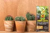 Kaktus- und Sukkulentenerde - 5l - mit Quarzsand - Produktbild-Vorschau 4