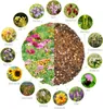 Blumenwiese Samen für eine bunte Bienenweide - Farbenfrohe Produktbild-Vorschau 10
