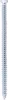 A close-up, straight-on view of a single screw on a white background. Anteprima dell’immagine prodotto