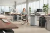 Hailo HAILO Atkritumu tvertne Big-Box Swing XL / 52L / Anteprima dell’immagine prodotto 27