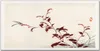Coloray Küchenrückwand 120x60 Spritzschutz aus Glas - Produktbild-Vorschau 1