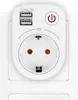 Chargeur USB Adaptateur de prise 2100mA pivotant pivotant Voir les images du produit 6