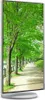 A monitor displaying a scenic park path with trees and a lake. Produktbild-Vorschau