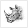 Poster - Poster ohne Rahmen - Nashorn Porträt Grafik - Produktbild-Vorschau 1