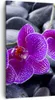 Bild auf Leinwand - Leinwandbild - Blumen Steine Violett Produktbild-Vorschau 1