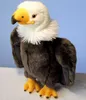 A stuffed toy eagle on a white surface with a light blue background. Voir les images du produit
