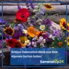Dürr-Samen - Zinnien Lilliput Prachtmischung einjährig 45 Produktbild-Vorschau 5