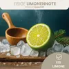 HAF Saunaaufguss Eislimone 250 ml - Sauna Aufgussmittel - Produktbild-Vorschau 2