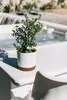 A small potted plant sits on a white ledge next to a hot tub. Anteprima dell’immagine prodotto