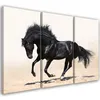Triptychon auf leinwand tiere - schwarz 60x40 cm Feeby Produktbild-Vorschau 1
