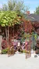 GardenAndPools Rosenbogen BRESLAU Gesamtbreite 1,30 m Produktbild-Vorschau 5