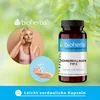 Bioherba Hühnerkollagen Typ II 250 mg 100 Kapseln Produktbild-Vorschau 7
