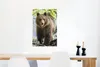 MuchoWow® Poster Bär - Braun - Wald 60x90 cm - Produktbild-Vorschau 4