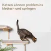 Kratzbäume, Katzen-Kletterwand, Katzenhängematte zur Produktbild-Vorschau 3