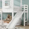 A white bunk bed with a slide and teddy bears on the lower bunk. Náhled obrázku produktu