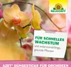 Neudorff  - Azet DüngeSticks für Orchideen 40 Sticks Produktbild-Vorschau 6