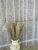 Fertigvorhang 400x245 Markise mit Ballast, Wohnzimmer, Produktbild-Vorschau 6