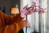 A person is holding a pink orchid plant indoors near a window. Produktbild-Vorschau