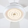 Ventilateur de plafond Parrot Uncle, 107 cm, avec éclairage Voir les images du produit 10