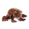 A brown plush frog toy is shown from a slightly elevated front-side angle against a white background. Podgląd zdjęcia produktu