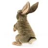 Folkmanis Handpuppe Feldhase / Jack Rabbit  3200 Hase Produktbild-Vorschau 4