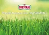 Substral Rasensamen der Schattige 1kg für 50 m² Produktbild-Vorschau 9