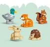 LEGO DUPLO Les plný objavov s divokými zvieratkami, Náhľad obrázku produktu 15
